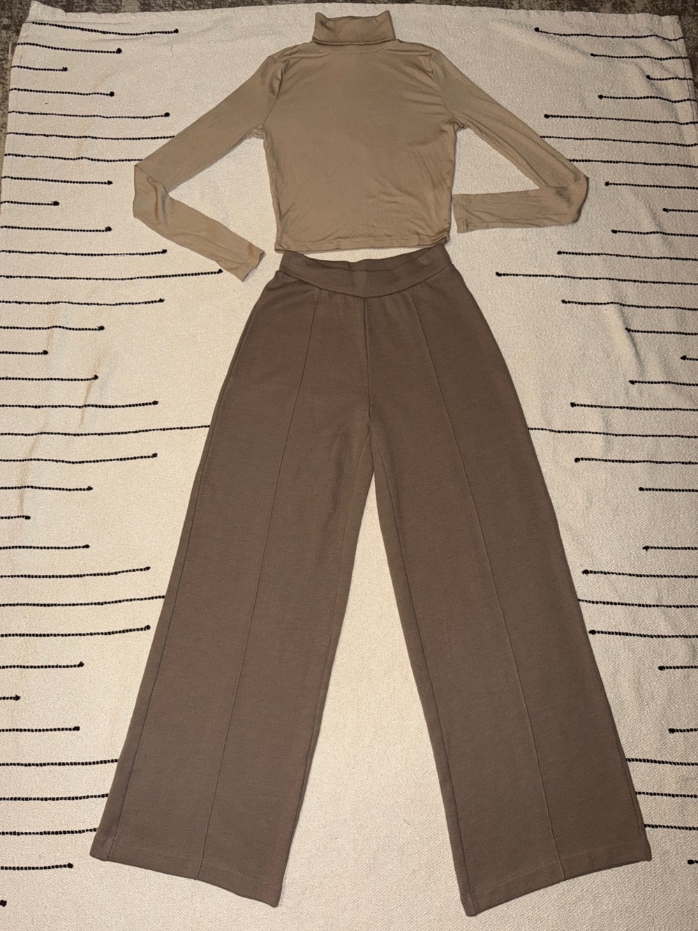 Aritzia The Group by Babaton Hideaway Pant (Nomad Taupe) (top included)